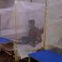 Dengue cases in Rawalpindi rise to 64, Authorities intensify crackdown