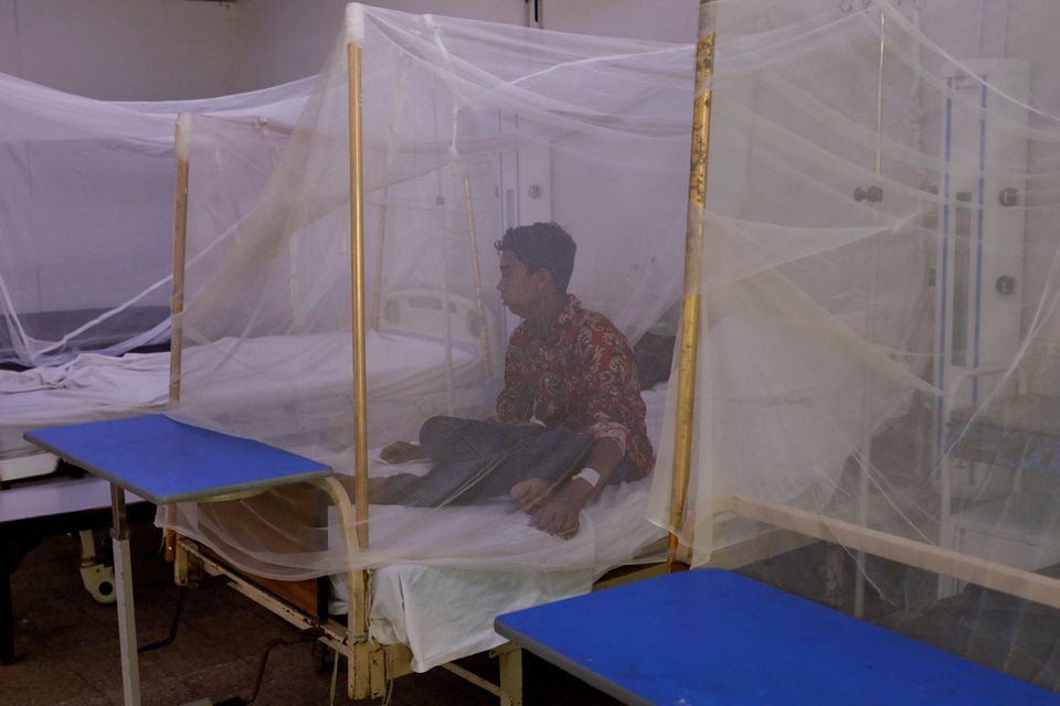 Dengue cases in Rawalpindi rise to 64, Authorities intensify crackdown