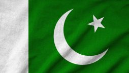 Green and White: More than just colours