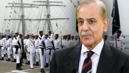 PM Shehbaz Sharif pays tribute to Pakistan Navy on ‘Navy Day’