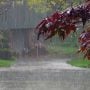 11th monsoon spell to begin in Punjab from tomorrow