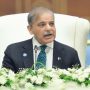 PM Shehbaz stresses peace and cooperation at SCO summit