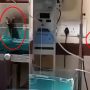 Rat attacks two infants in Indian govt hospital