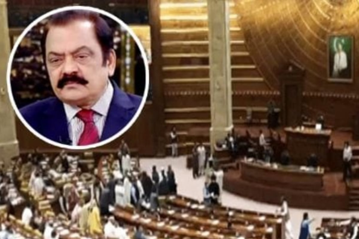 Rana Sanaullah wins Senate seat in Punjab By-Election, Unofficial results announced