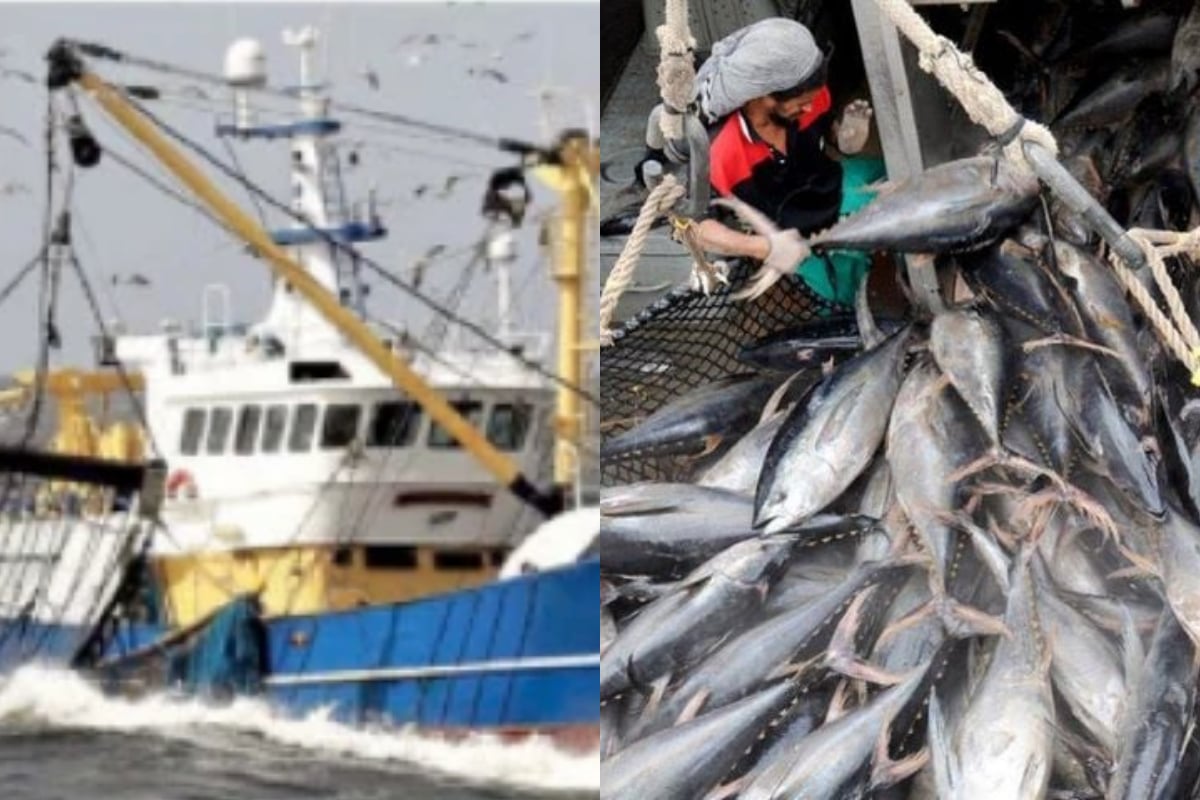 Balochistan fisheries department to launch operation against illegal trawling