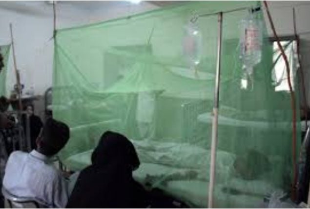 Dengue cases in Rawalpindi reach 374 as health department steps up action