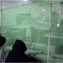 Dengue cases in Rawalpindi reach 374 as health department steps up action