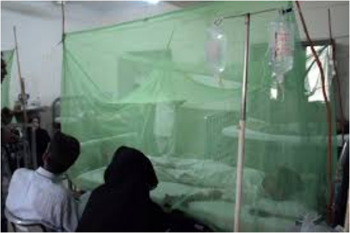 Dengue cases in Rawalpindi reach 374 as health department steps up action