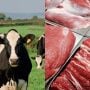 China places $7.5M Beef order from Pakistan, as Halal Meat demand rises