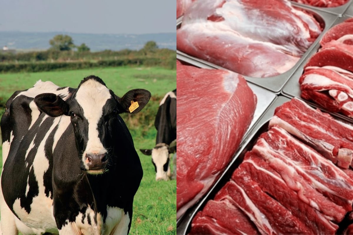 China places $7.5M Beef order from Pakistan, as Halal Meat demand rises