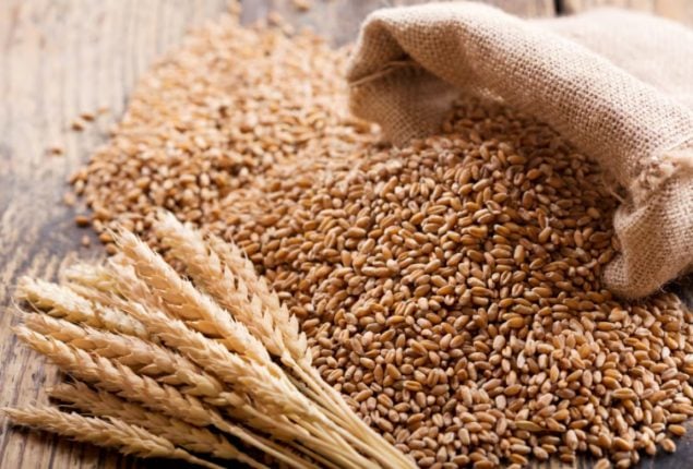 Sindh and Federal Government join hands on National wheat policy