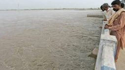 High flood