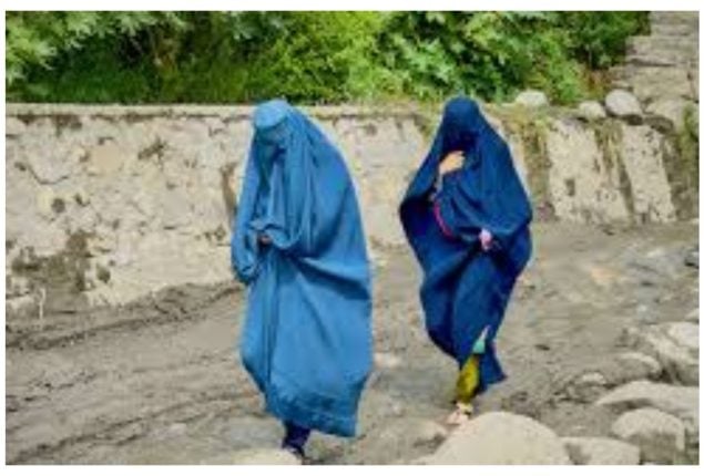 UN urges Taliban to lift work ban on Afghan women aid workers