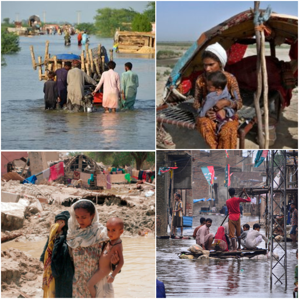 Cholera shadows on Pakistan after devastating flood.