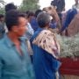 Sukkur incident: Camel severely injured, owner demands justice