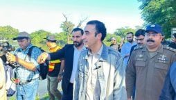 Bilawal Bhutto urges waiver of electricity bills for flood-hit farmers