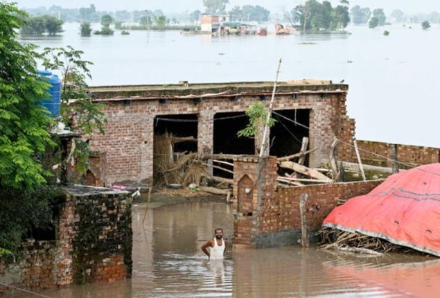 Sutlej floods submerge villages, destroy crops