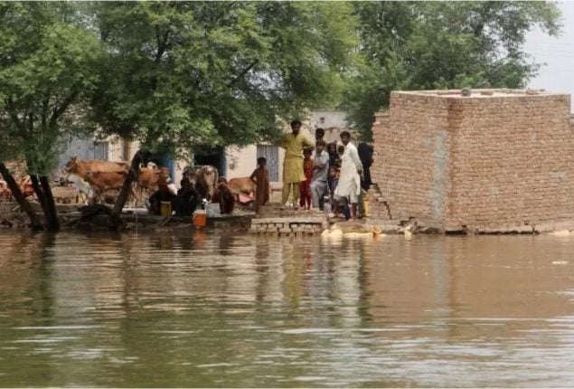 PDMA Chief terms South Punjab flood situation ‘challenging’