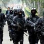 CTD Punjab arrests 89 terrorists in 940 IBOs