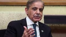 PM Shehbaz