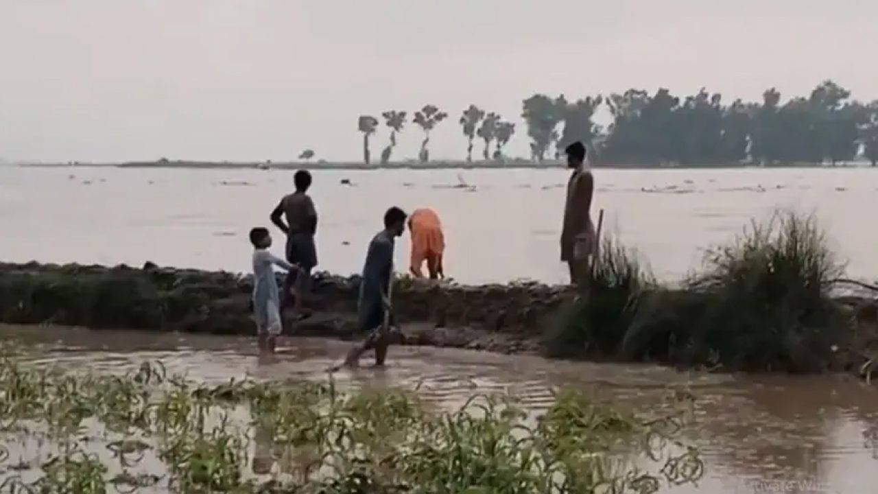High-level flood in River Chenab; Ravi embankment blown up to save Head Sidhnai