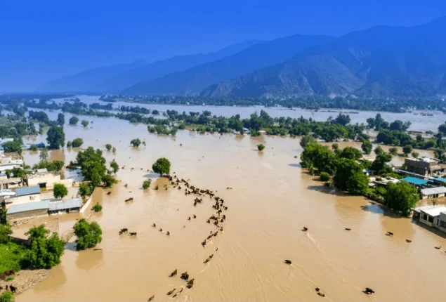 Pakistan flood 2025: High Flood Levels Continue at Guddu and Sukkur Barrages