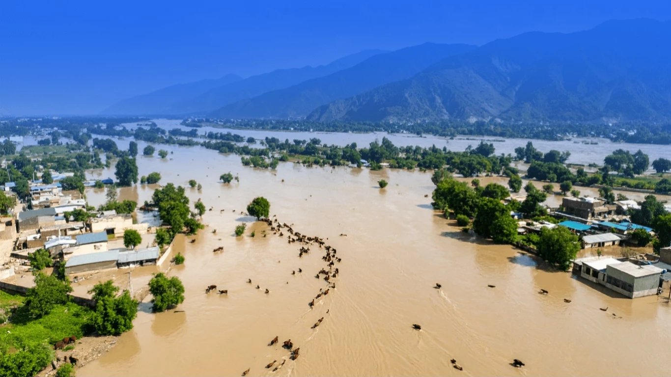 Pakistan flood 2025: High Flood Levels Continue at Guddu and Sukkur Barrages