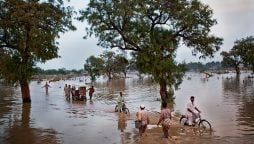 23 dead as riverine floods devastate Pakistan; Punjab worst hit