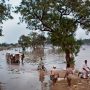 23 dead as riverine floods devastate Pakistan; Punjab worst hit