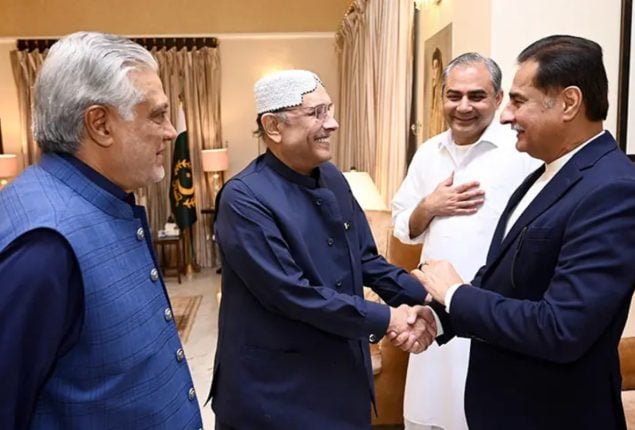 President Zardari steps in as PPP-PML-N tensions simmer