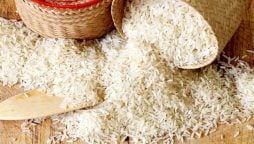 Rice prices increase in Pakistan – Check latest per kg rates