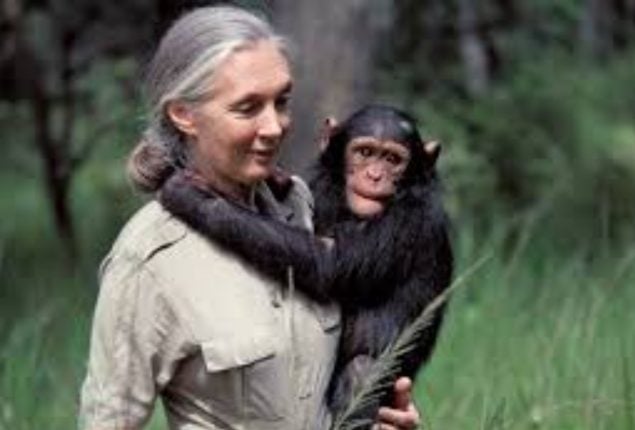 Legendary Jane Goodall passes away at 91