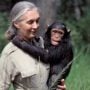 Legendary Jane Goodall passes away at 91