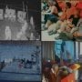 Israel seizes “Gaza Sumud Flotilla Aid”, 450 activists detained