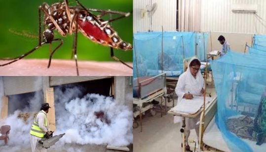 Pakistan battles rising dengue cases as Panjgur declares health emergency