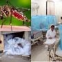 Pakistan battles rising dengue cases as Panjgur declares health emergency