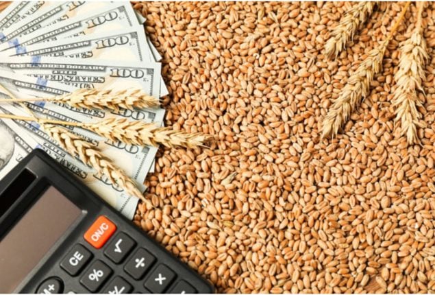 Sindh urges Federal Government to announce wheat support price without delay