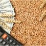 Sindh urges Federal Government to announce wheat support price without delay