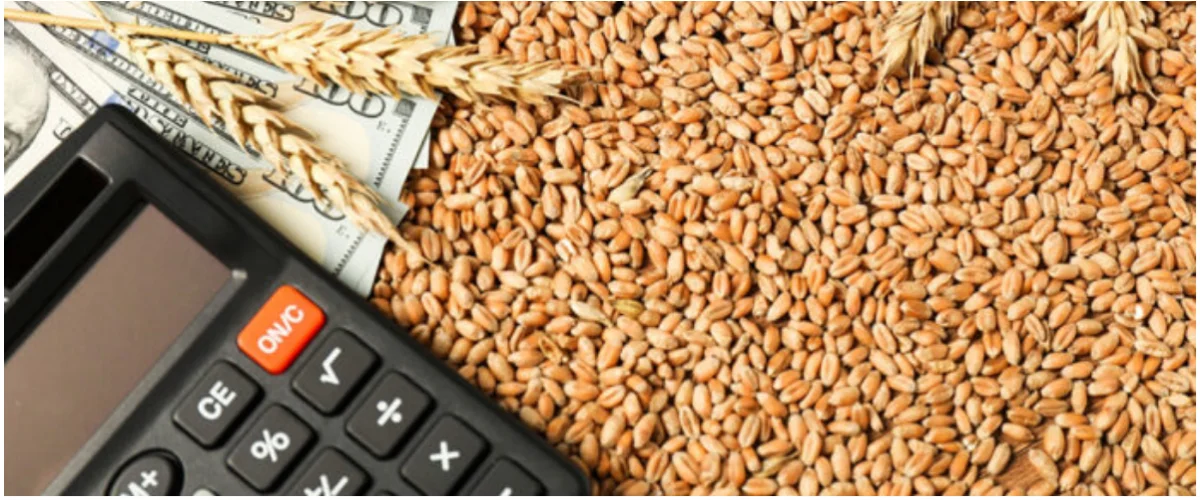 Sindh urges Federal Government to announce wheat support price without delay