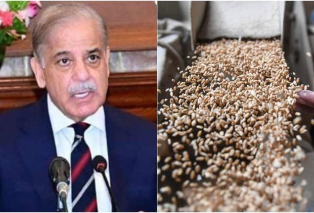 Government approves National wheat policy, Sets support price at Rs3,500 per Maund