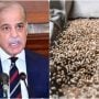 Government approves National wheat policy, Sets support price at Rs3,500 per Maund