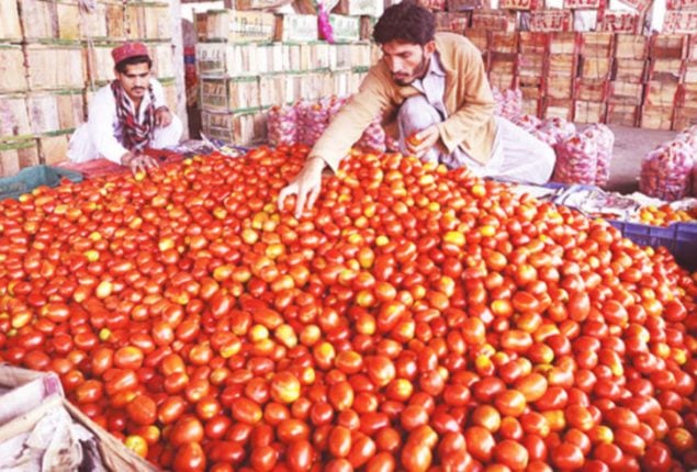 Tomato prices spike due to weather impact, transport challenges