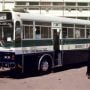 Student dies after being run over by KU point bus