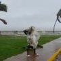 30 dead as powerful Hurricane Melissa batters Jamaica and Cuba