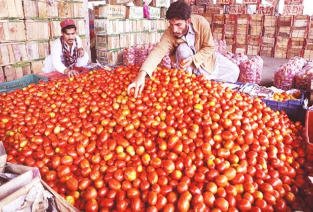 Tomato prices surge across Pakistan: Check news rates
