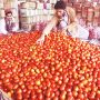 Tomato prices surge across Pakistan: Check news rates