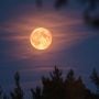First Supermoon of 2025 Lights Up Skies Across Pakistan