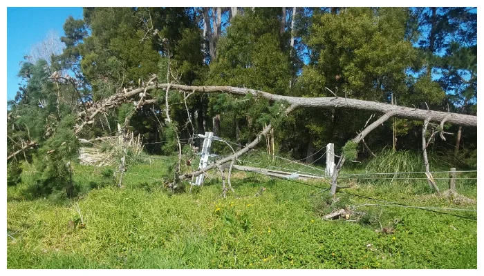 Power outages and chaos as fierce winds batter New Zealand.