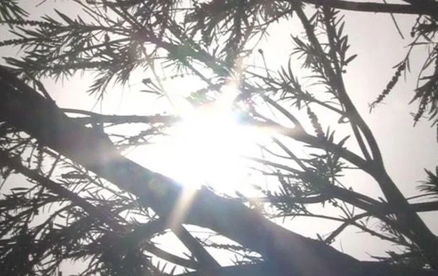 Hot and dry weather continues in Karachi