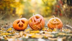The biggest Halloween & Autumn challenges taking over your feed in October.